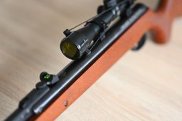 Ruger Air Scout Rancher Kit