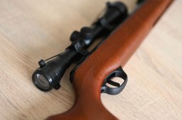 Ruger Air Scout Rancher Kit