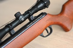 Ruger Air Scout Rancher Kit