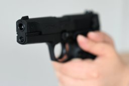 Walther CP88